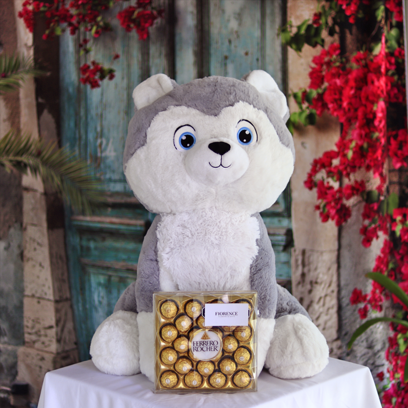 Cute Large Stuffed Husky Plush with Chocolates - Giftbaskets México