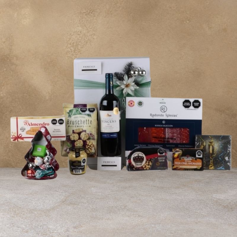 Gourmet Christmas Gift with Vincens Red Wine Bottle and Fine Pairing-2