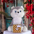 Cute Large Stuffed Husky Plush with Chocolates - Giftbaskets México