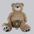 Giant Teddy Bear with Chocolates.