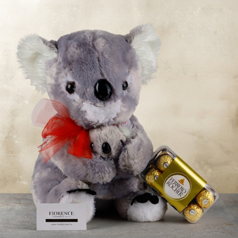 Koala Love Hug