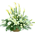 Hug to your Heart - Giftbaskets México