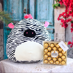 Raccoon Squishmallows - Giftbaskets México