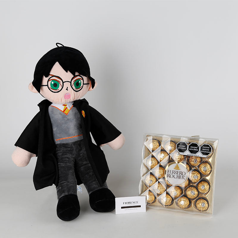Harry Potter Plush with Chocolates