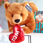 Teddy Bear with Chocolates and heart shaped cushion - Giftbaskets México