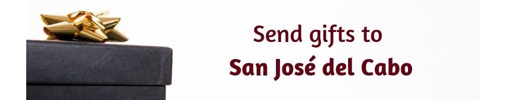Gift baskets to San José del Cabo - How to send next day local delivery Premium Products